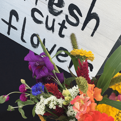 Brownstown Ewing Main Street